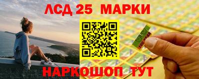 крисы Новокубанск