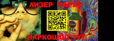 крисы Новокубанск