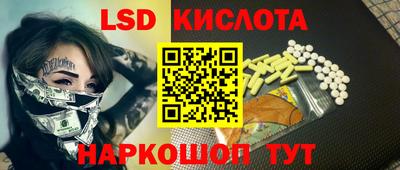 крисы Новокубанск