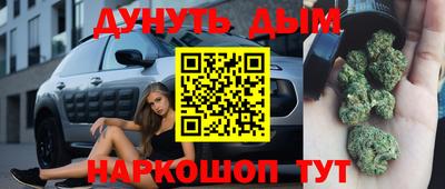 крисы Новокубанск