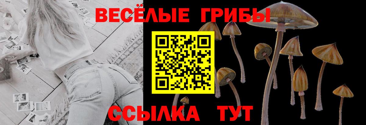 Псилоцибиновые грибы прущие грибы  Вход с VPN  Топки 